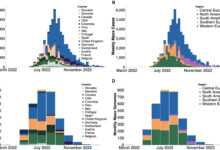 definition and background of mpox