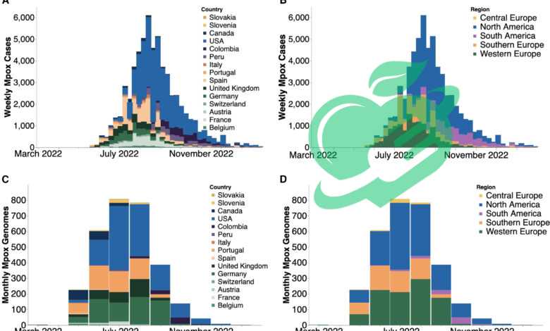 definition and background of mpox