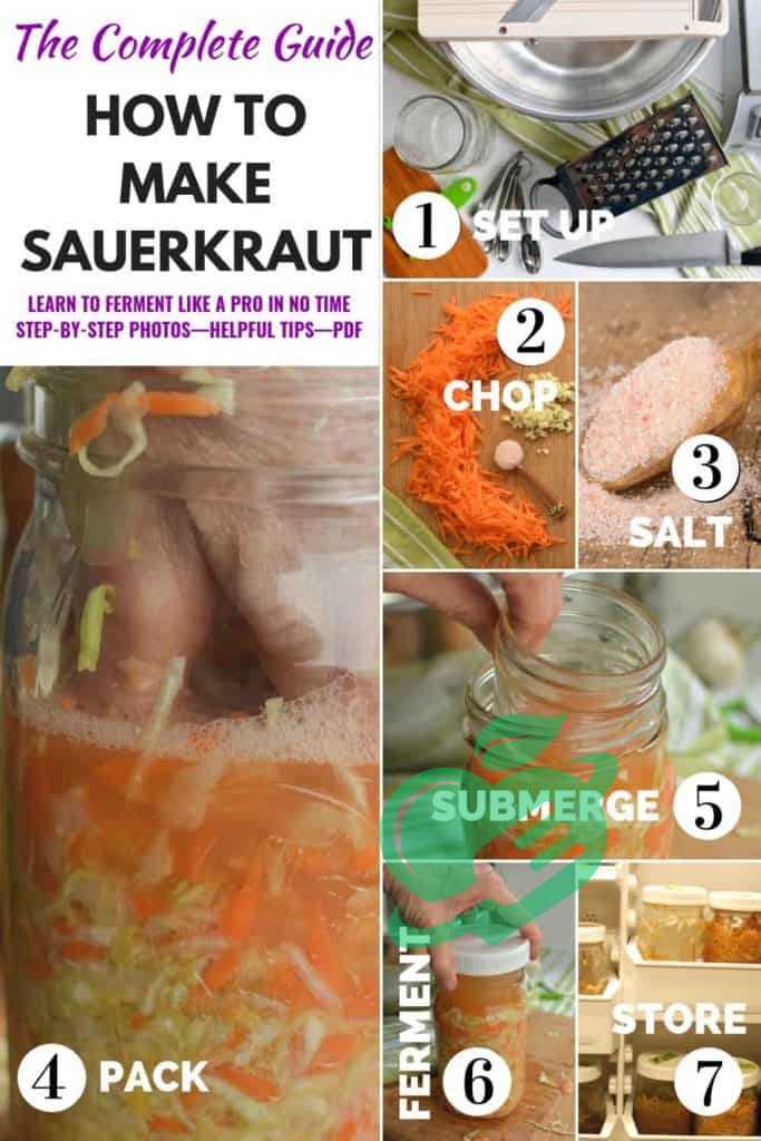 Step-by-Step Fermentation Process