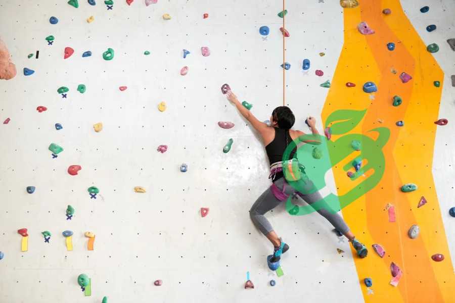 Brief History of Rock Climbing