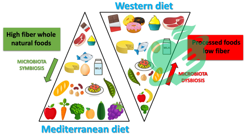 Characteristics of the Mediterranean Best Diets