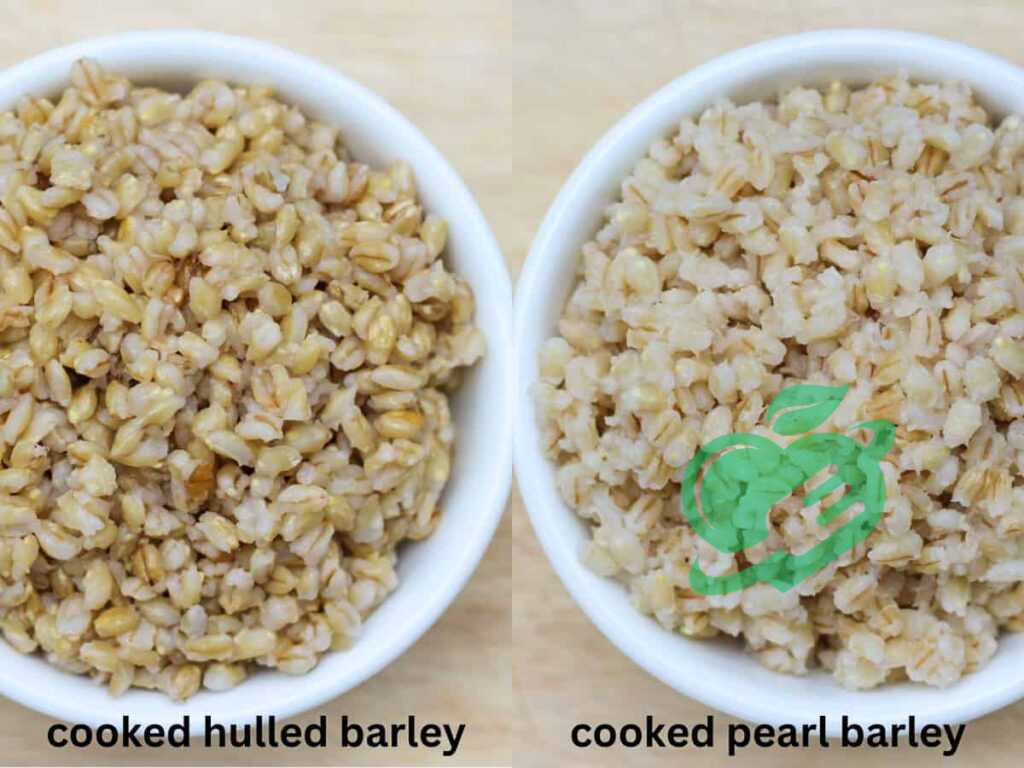 Cooking Methods for Barley Pearl