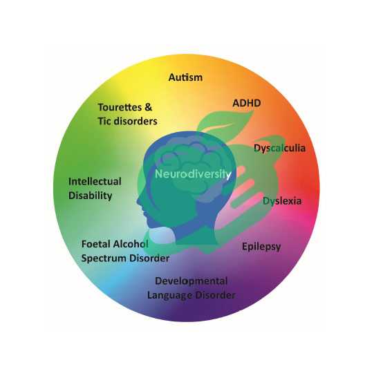 Coping Mechanisms and Support Systems