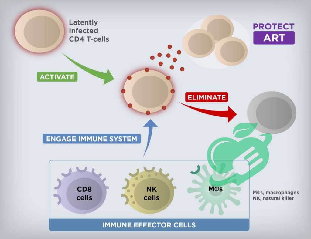 Current State of HIV Cure Research