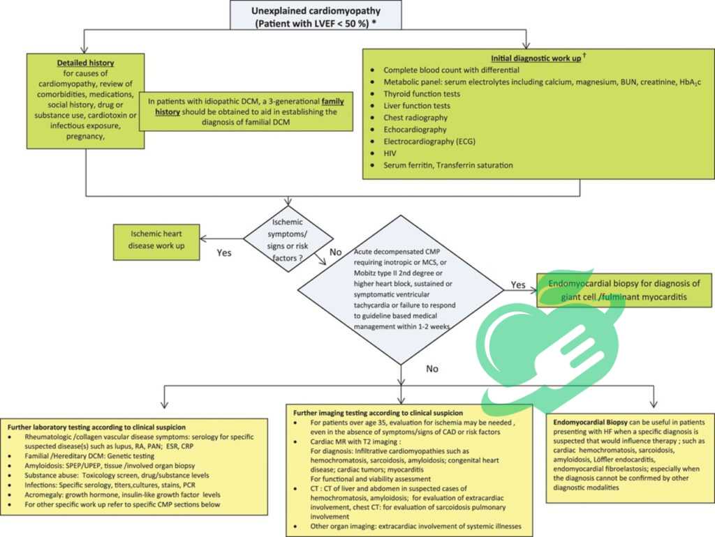 Diagnostic Procedures and Tests for Ischemic Cardiomyopathy