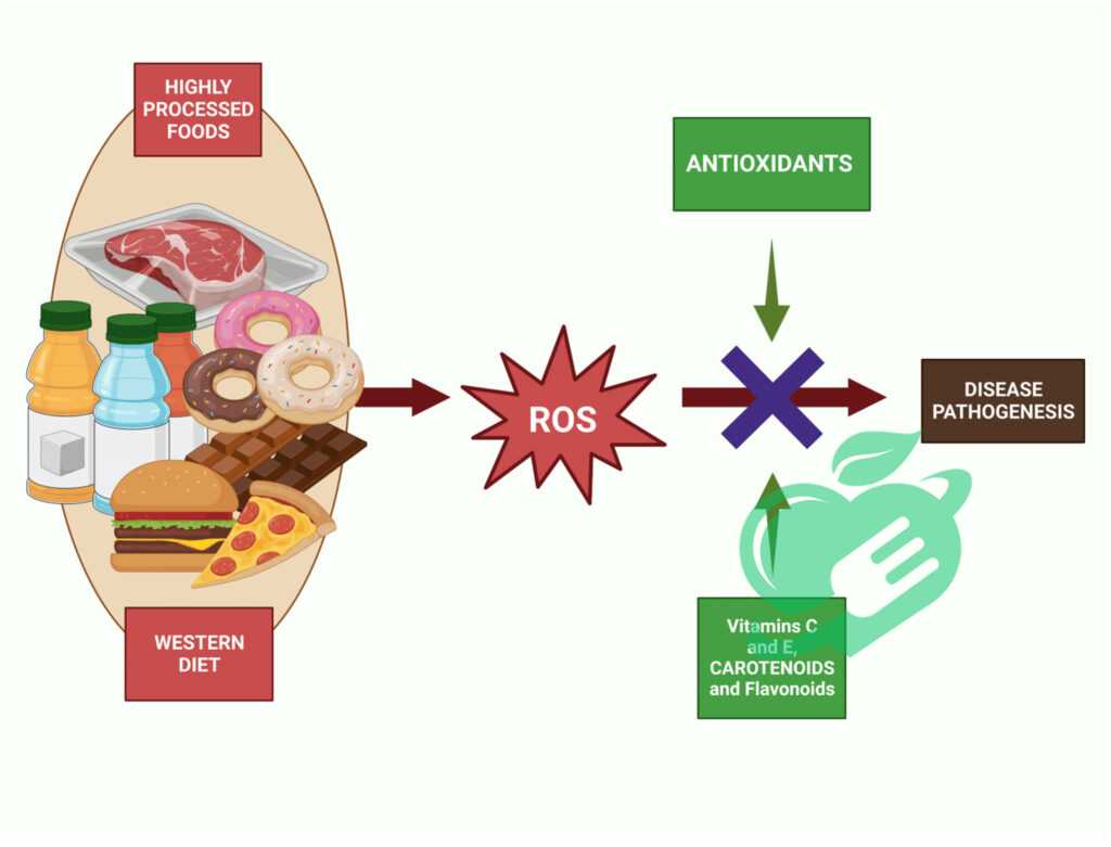 Features of the WW Diet 