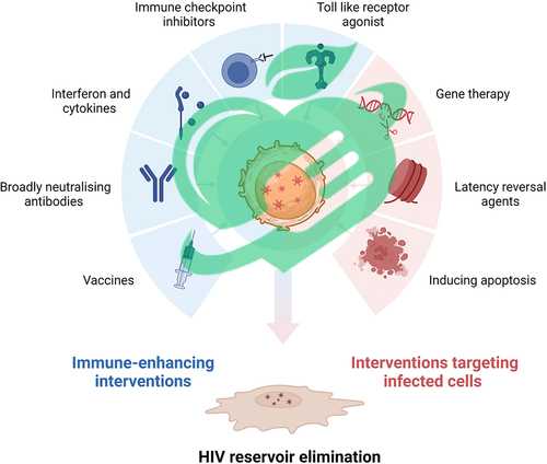 Gene Editing Technologies in HIV Cure