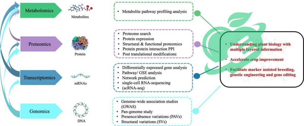 Genetic Risk Assessment