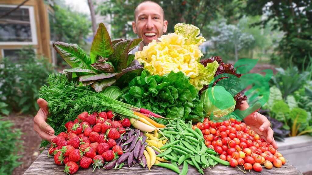 Harvesting and Storing