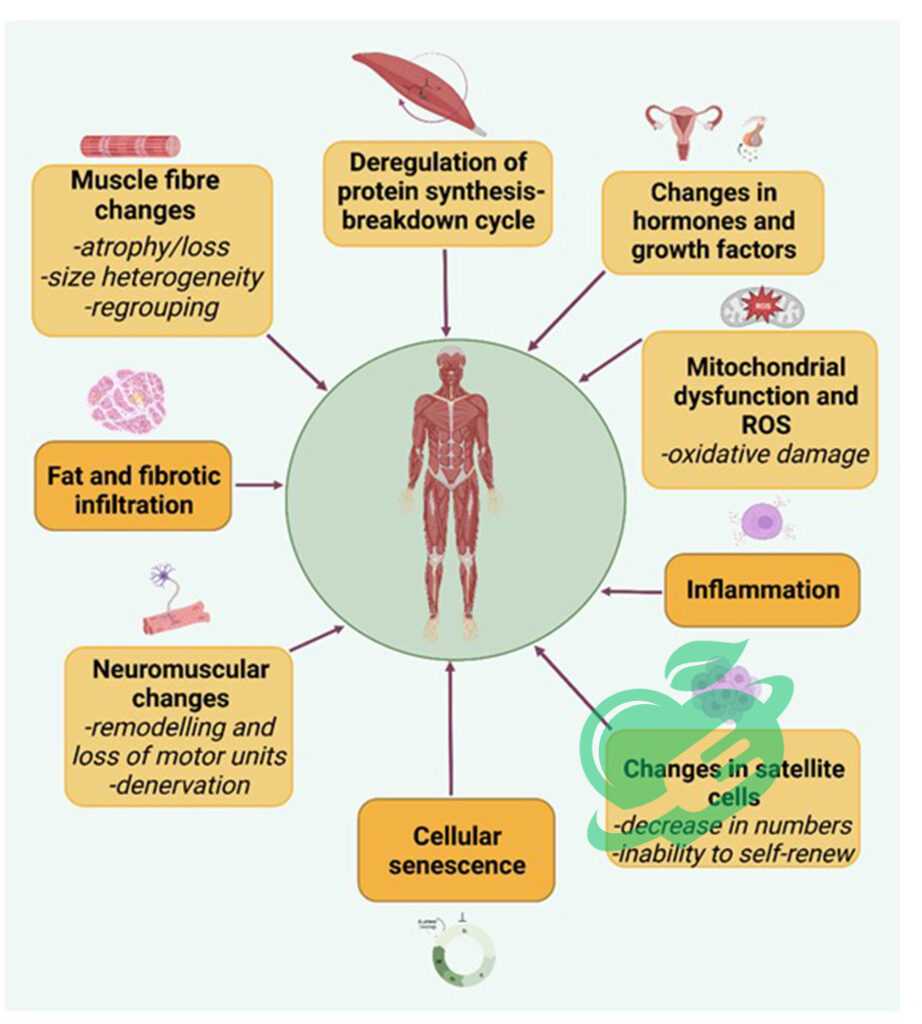 Importance of Early Detection