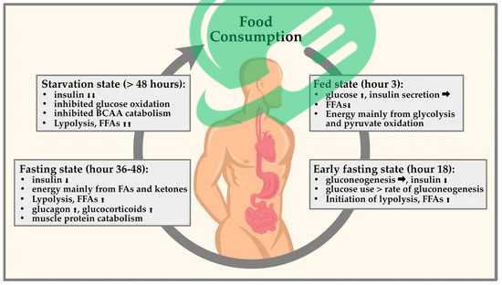 Incorporating Nutrient-Dense Foods