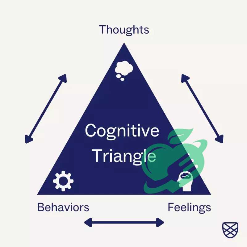 Introduction to the CBT Triangle Concept