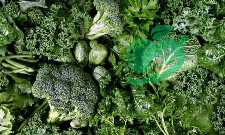 Unlocking the Benefits How Veggies Can Lower Your Blood Pressure