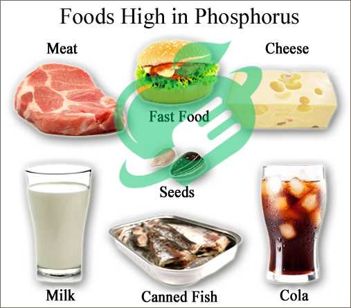 Non-dairy Sources of Phosphorus