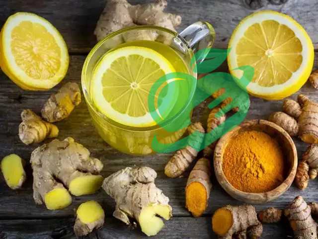 Overview of Weight Loss and Ginger