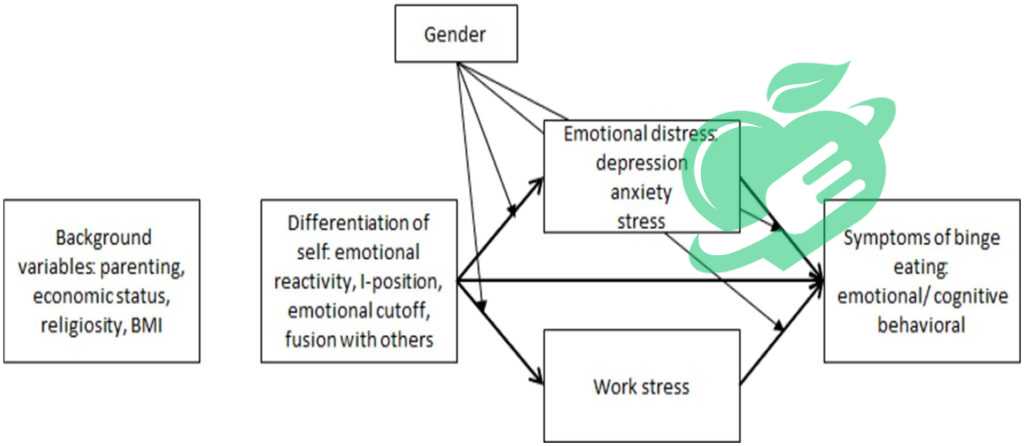 Personalized Treatment Options