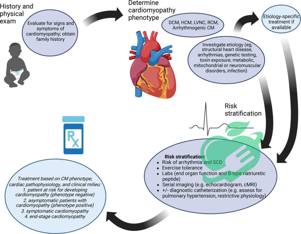 Risk Factors Associated with Ischemic Cardiomyopathy