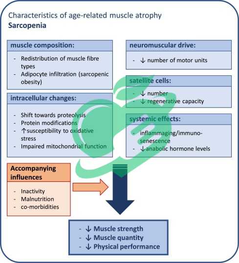 Role of Regular Exercise