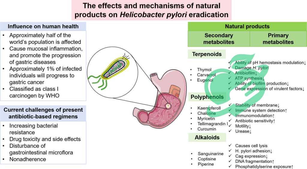 Surgical Interventions