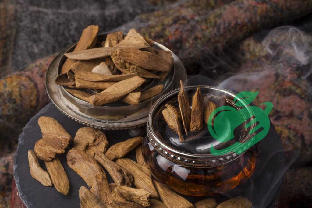 Sustainable Practices in Oud Production