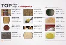 Top 10 High-Phosphorus Foods to Boost Your Health