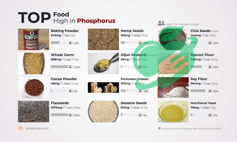 Top 10 High-Phosphorus Foods to Boost Your Health