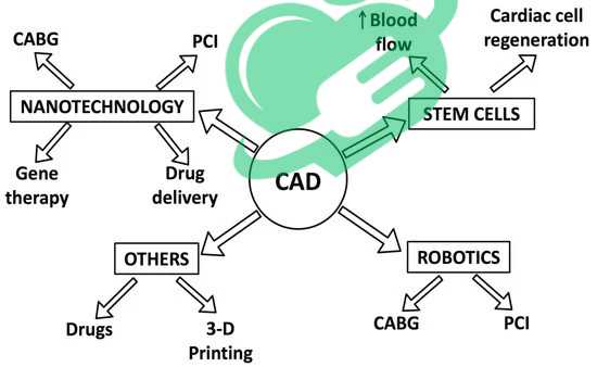 Transmyocardial Revascularization (TMR)