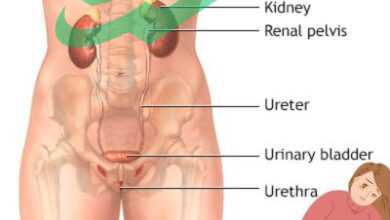 Unraveling the Mystery: Common Triggers of Painful Urination