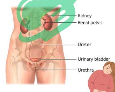 Unraveling the Mystery: Common Triggers of Painful Urination