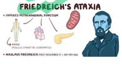Definition of Friedreich's Ataxia