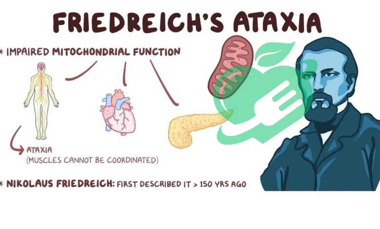 Definition of Friedreich's Ataxia
