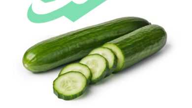 10 Surprising Benefits of Cucumber You Need to Know