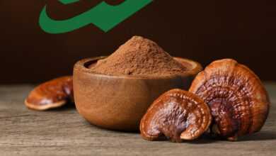 Reishi,Mushroom cofee