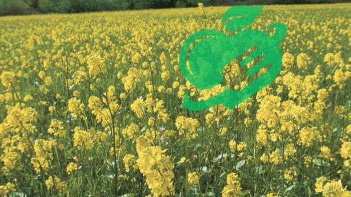 Environmental Impact