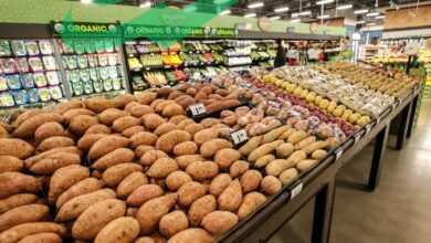 Find the Best Grocery Stores Open on Thanksgiving