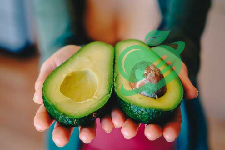 Moderation and Portion Control