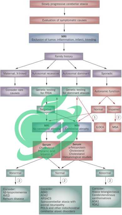 Symptoms and Progression of the Disorder