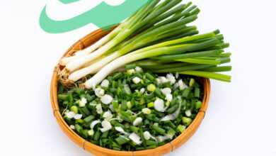The Ultimate Guide to Cooking with Green Onion