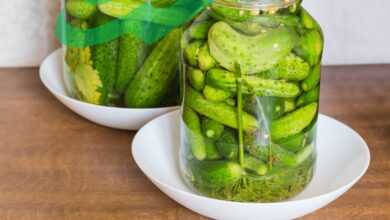 Unlocking the Secrets of Pickle: Tangy and Crunchy Delight