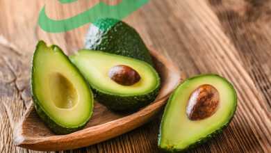 avocado protein