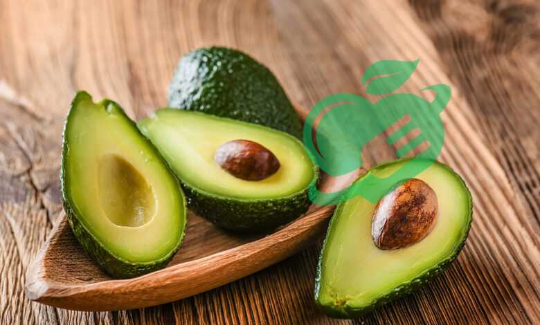 avocado protein