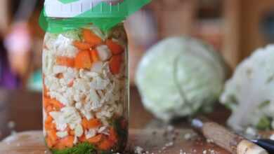 fermented foods recipes