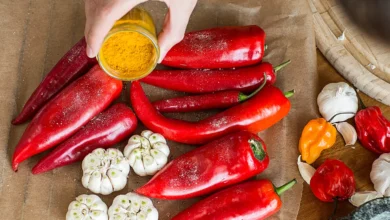 The Science Behind Spicy Food and Why We Love It