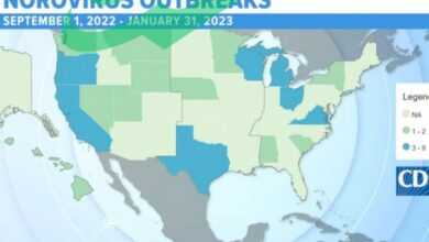 A Look at Norovirus in 2025