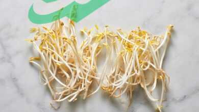 Beans Sprout