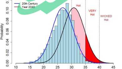 Staying Safe During Excessive Heat